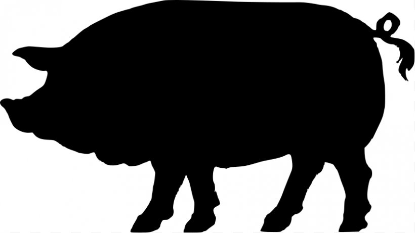 Domestic Pig Silhouette Clip Art, PNG, 851x479px, Domestic Pig, Art, Black And White, Cattle Like Mammal, Computer Download Free