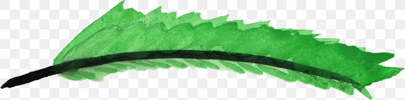 Green Feather, PNG, 1298x324px, Green, Blue, Brush, Color, Com Download Free