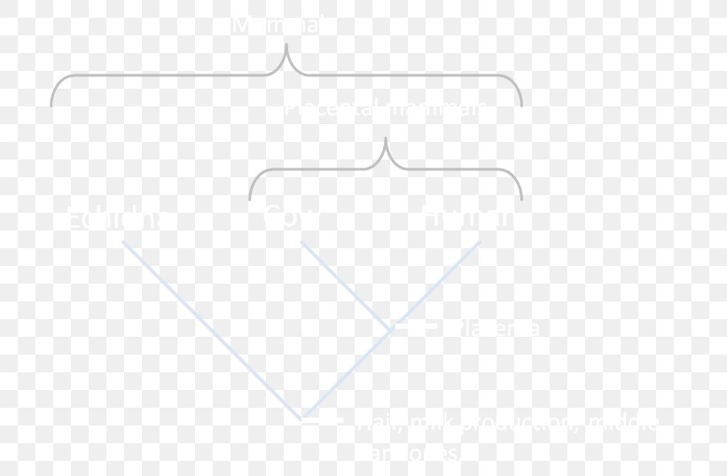 Line Angle, PNG, 721x537px, Triangle, Diagram, Rectangle, Text, White Download Free