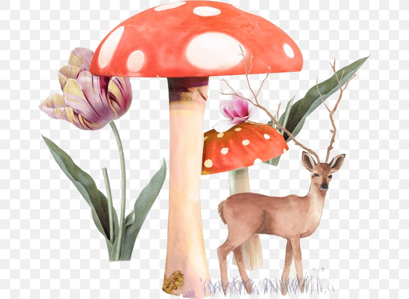 Mushroom Tree Deer, PNG, 668x600px, Mushroom, Deer, Drawing, Edible Mushroom, Organism Download Free
