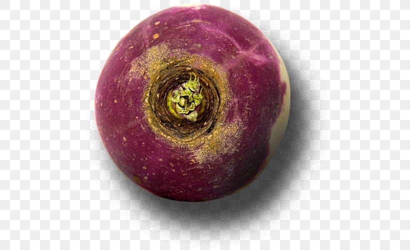 Turnip Rutabaga Bead Sphere Superfood, PNG, 530x500px, Turnip, Bead, Food, Fruit, Jewelry Making Download Free