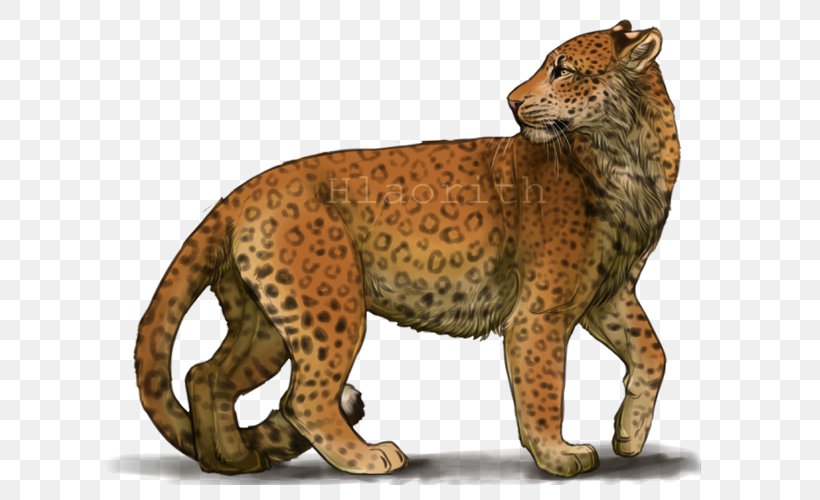 Cheetah Leopard Jaguar Lion Whiskers, PNG, 640x500px, Cheetah, Actias, Animal, Animal Figure, Big Cats Download Free