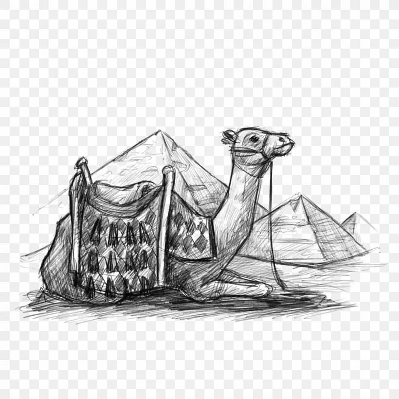 Egyptian Pyramids Dromedary Desert Drawing, PNG, 1200x1200px, Egyptian Pyramids, Art, Black And White, Camel, Camel Like Mammal Download Free