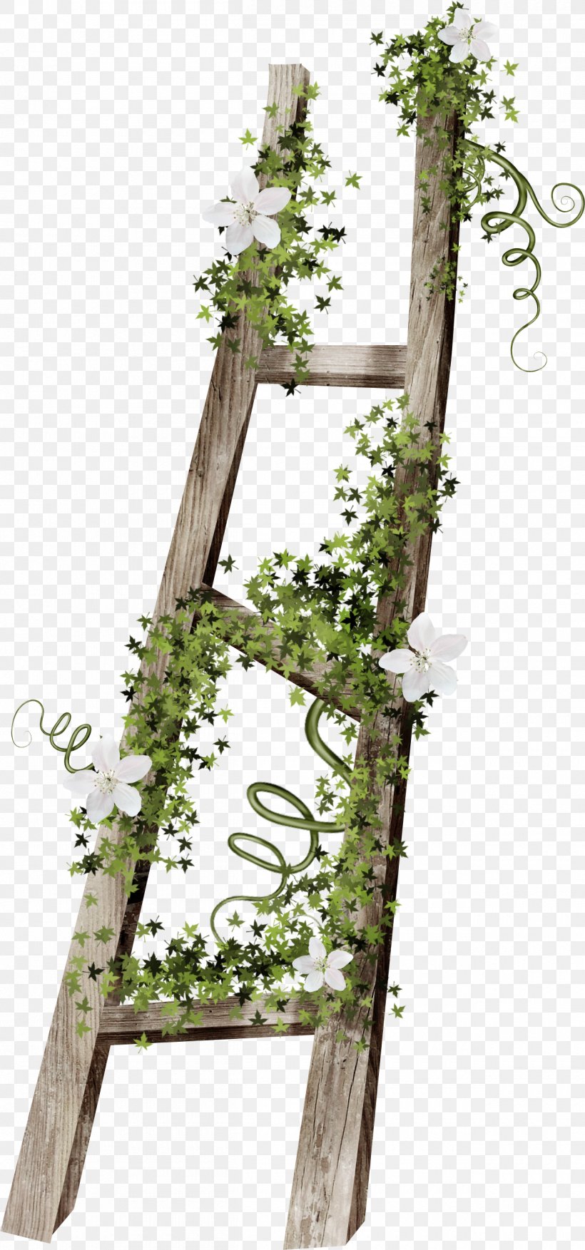 Stairs Ladder Wood, PNG, 1260x2694px, Stairs, Branch, Flora, Floral Design, Floristry Download Free