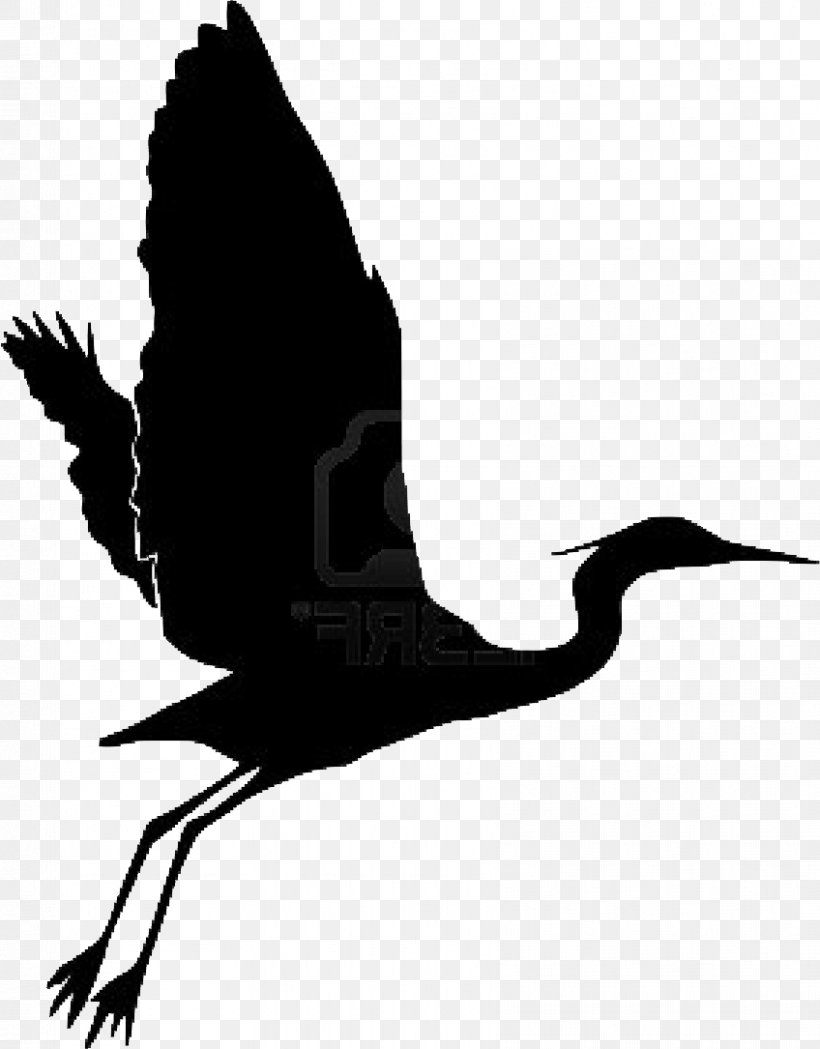 Beak Heron Bird Egret Grand Gardens, PNG, 848x1085px, Beak, Bead, Bird, Black And White, Branch Download Free