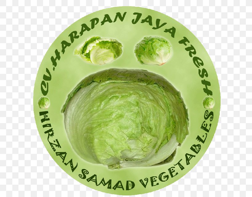 CV. Harapan Jaya Lettuce Supplier Sayuran Segar Business, PNG, 640x640px, Lettuce, Business, Dishware, Food, Ingredient Download Free