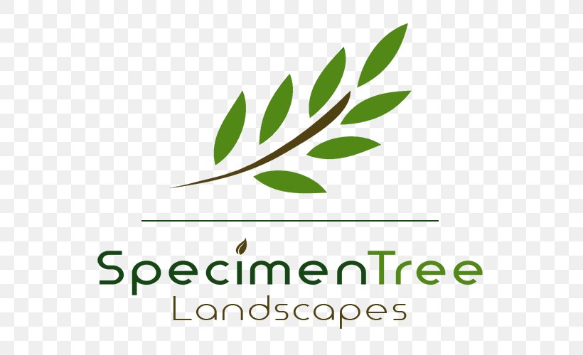 Leaf Logo Brand Font Green, PNG, 618x500px, Leaf, Brand, Grass, Green, Herbal Download Free
