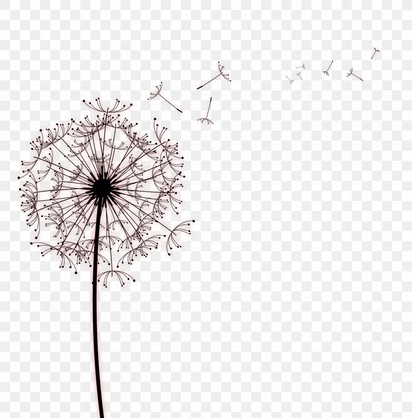 Paper Common Dandelion Drawing Photography, PNG, 2424x2461px, Paper, Black And White, Business, Common Dandelion, Dandelion Download Free