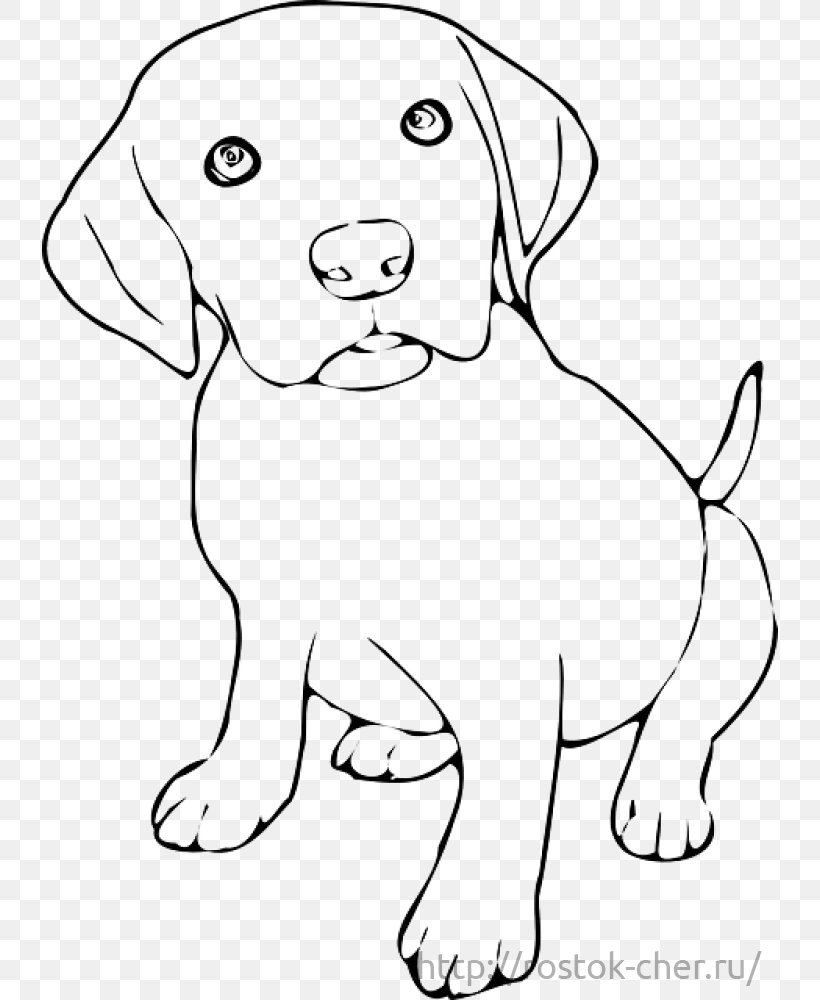 Labrador Retriever Puppy Golden Retriever Kitten Coloring Book, PNG, 736x1000px, Labrador Retriever, Animal, Area, Black And White, Bulldog Download Free