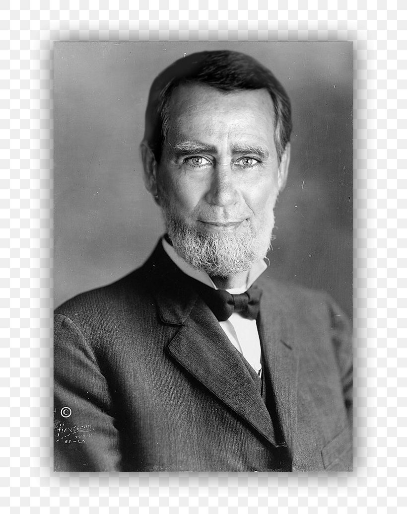 Moustache Portrait Joseph Gurney Cannon Beard White, PNG, 800x1035px, Moustache, Beard, Black And White, Chin, Elder Download Free