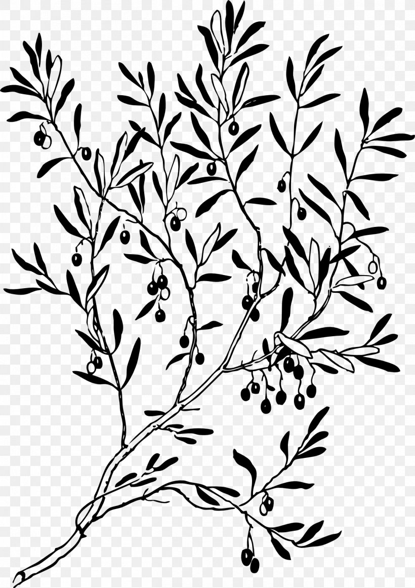 Olive Branch Line & Form Clip Art, PNG, 1355x1920px, Olive Branch, Art, Black And White, Branch, Flora Download Free