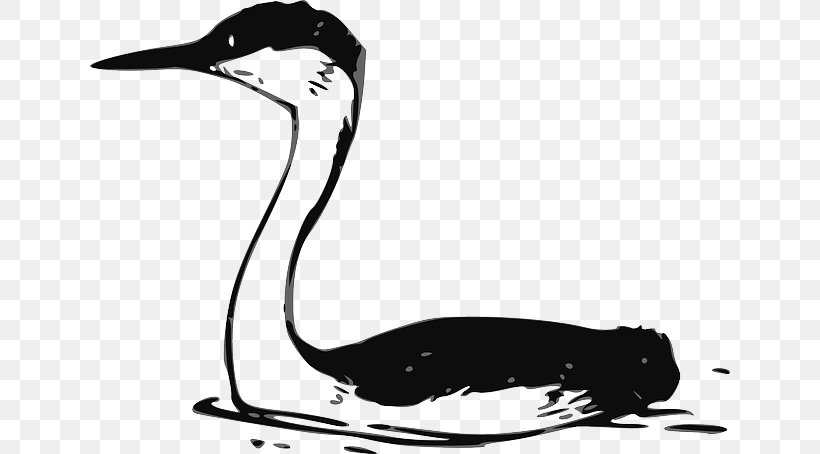 Water Bird Heron Vector Graphics Clip Art, PNG, 640x454px, Bird, Artwork, Beak, Black And White, Crane Download Free