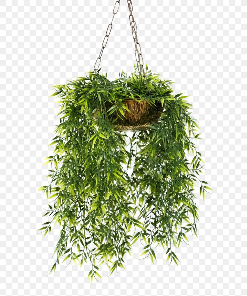 Flowerpot Houseplant Hanging Basket, PNG, 813x983px, Flowerpot, Container Garden, Garden, Gardening, Grass Download Free