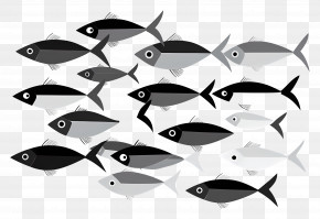 Group Of Fish - School Of Fish Drawing In Monochrome PNG
