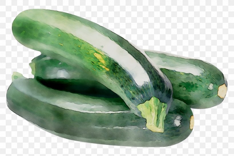 Pickled Cucumber, PNG, 1187x792px, Cucumber, Cucumber Gourd And Melon Family, Cucumis, Fashion Accessory, Green Download Free