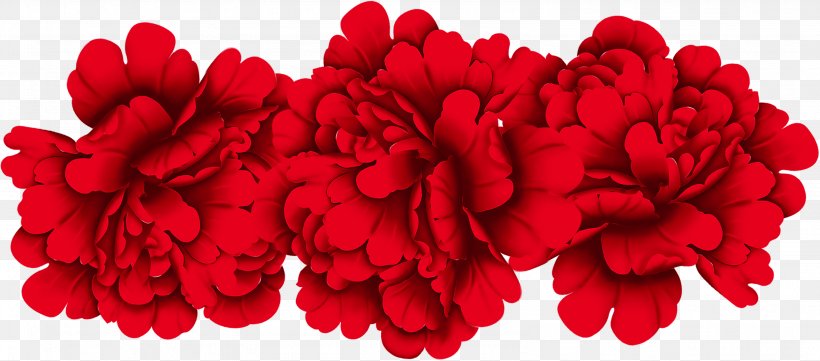 Red Moutan Peony, PNG, 3172x1400px, Red, Carnation, Cut Flowers, Floral Design, Flower Download Free