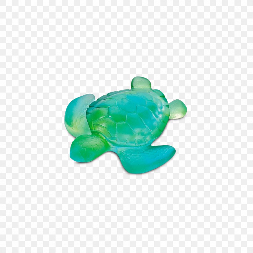 Sea Turtle Blue Daum Turquoise, PNG, 1000x1000px, Sea Turtle, Amphibian, Blue, Clay, Color Download Free