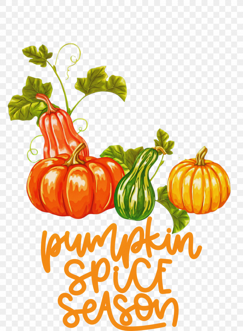 Autumn Pumpkin Spice Season Pumpkin, PNG, 2204x2999px, Autumn, Cucurbita Maxima, Fruit, Gourd, Melon Download Free