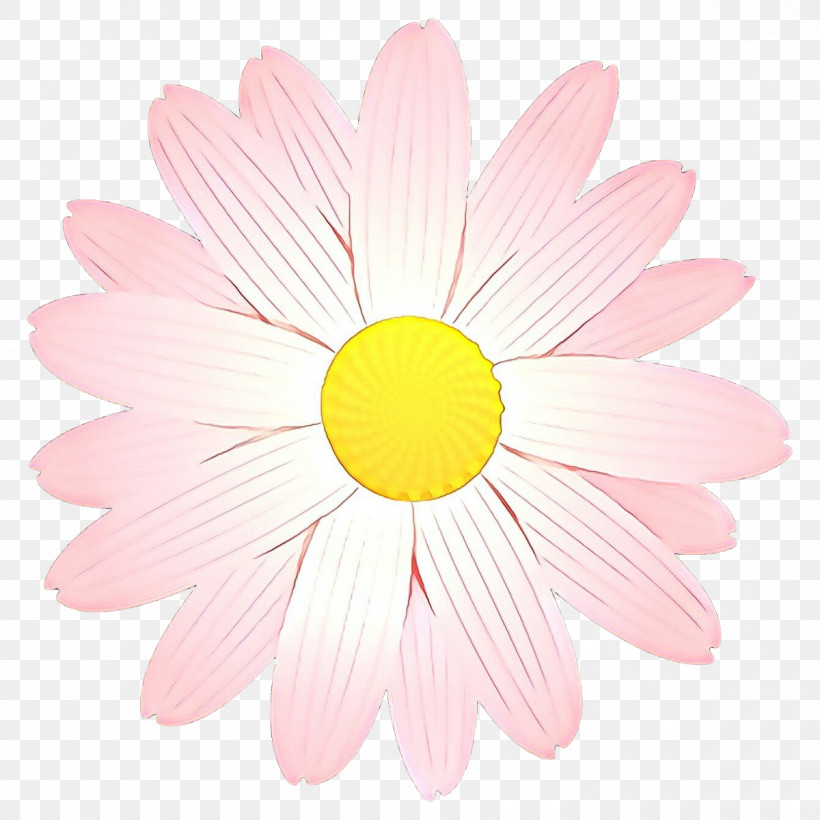 Daisy, PNG, 1200x1200px, Pink, Camomile, Chamomile, Daisy, Flower Download Free