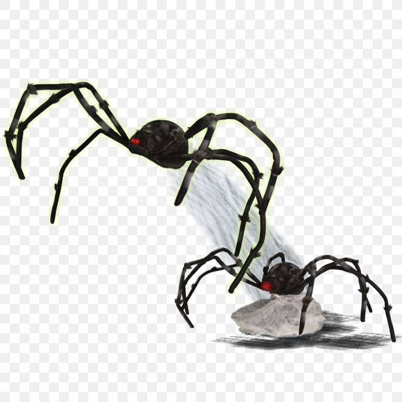 Jumping Spider Widow Spiders Spider Web Cephalothorax, PNG, 1000x1000px, Spider, Animal, Arachnid, Arthropod, Black House Spider Download Free