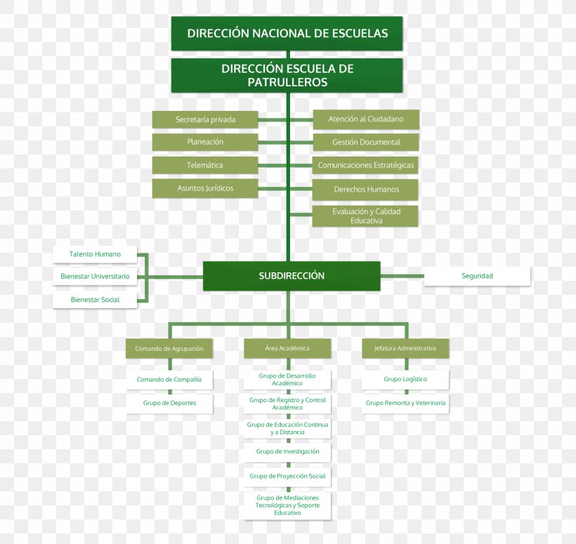 Organizational Chart National Police Of Colombia Directorate Of Criminal Investigation And Interpol, PNG, 1400x1324px, Organization, Area, Brand, Business Administration, Diagram Download Free