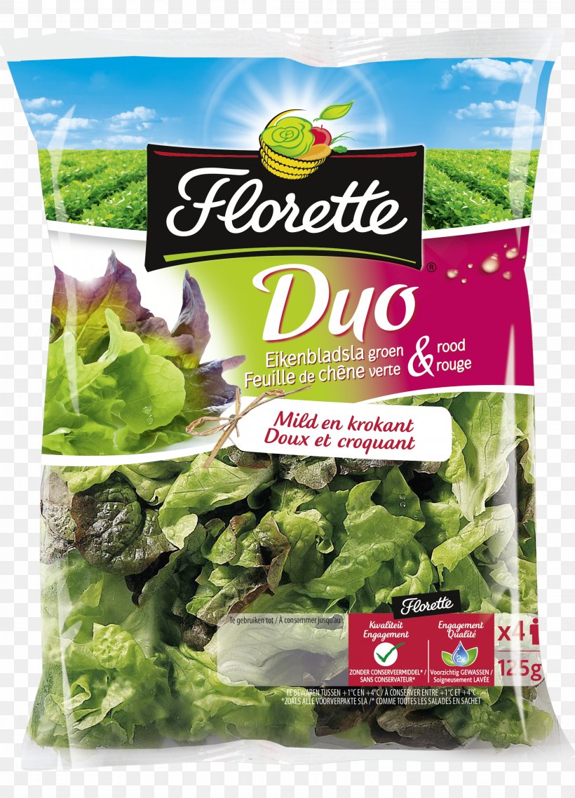 Romaine Lettuce Eikenbladsla Arugula Salad, PNG, 2126x2953px, Romaine Lettuce, Arugula, Chard, Corn Salad, Fines Herbes Download Free