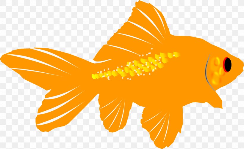 Goldfish Clip Art, PNG, 2400x1472px, Goldfish, Aquarium, Bony Fish, Drawing, Fin Download Free