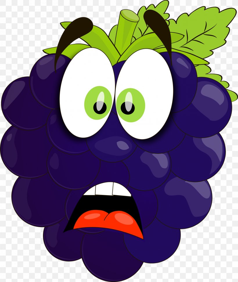 Grape Video Games Video Game Development Clip Art, PNG, 2090x2477px, Grape, Blog, Camera, Fiction, Fictional Character Download Free