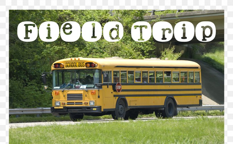 School Bus School Bus Learning First Grade, PNG, 1600x990px, Bus, Brand, Class, Commercial Vehicle, Educational Stage Download Free