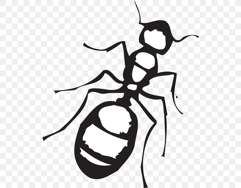 Ant Black And White Clip Art, PNG, 532x640px, Ant, Art, Artwork, Black And White, Black Garden Ant Download Free