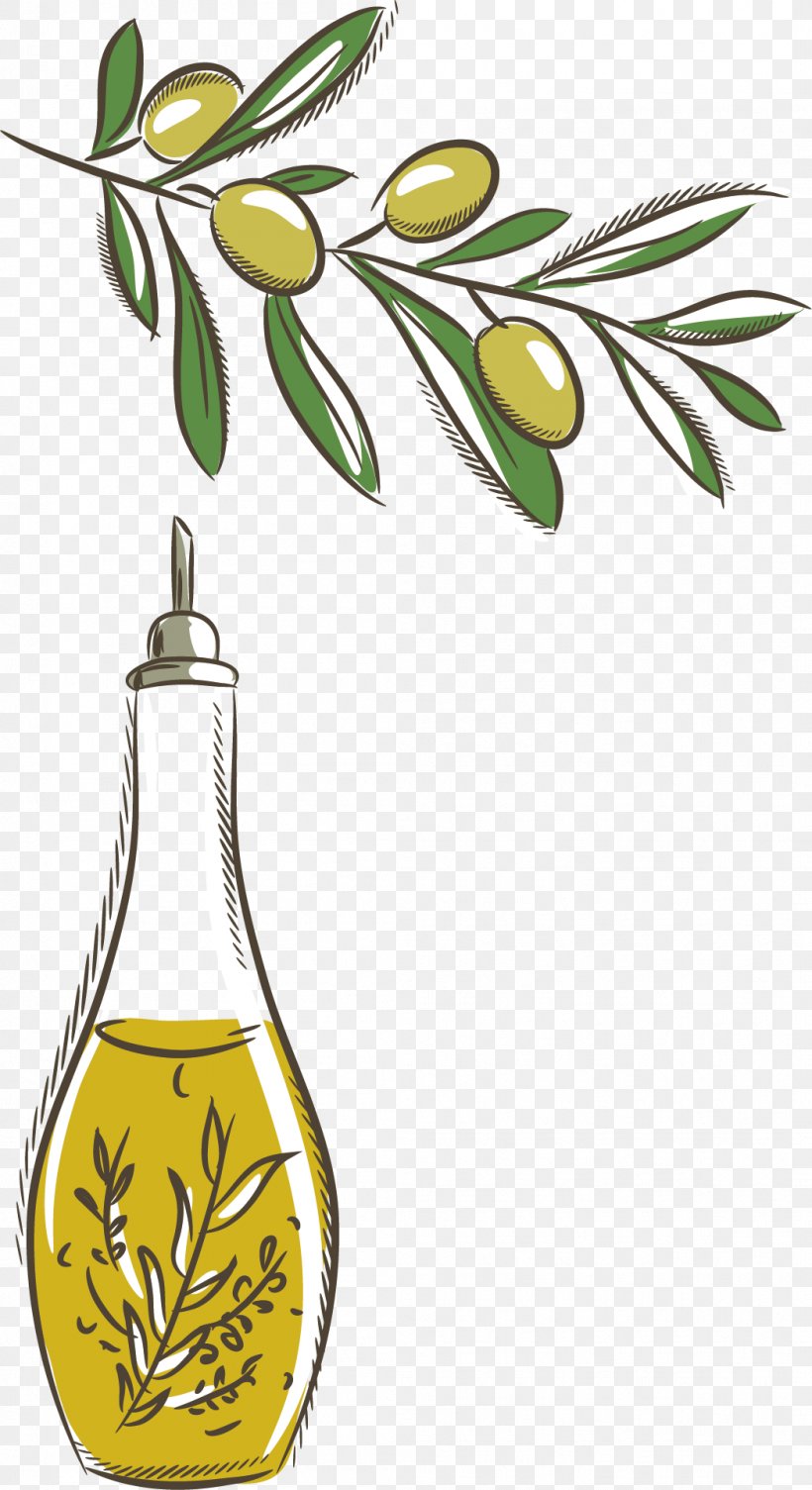 Bottle Olive Oil, PNG, 1047x1922px, Bottle, Branch, Cooking Oil, Drinkware, Flora Download Free