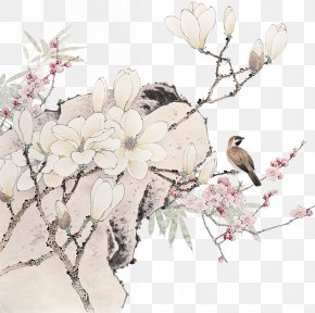 Magnolia Flowers - Chinese Painting Ink Wash Painting Bird-and-flower Painting Gongbi PNG