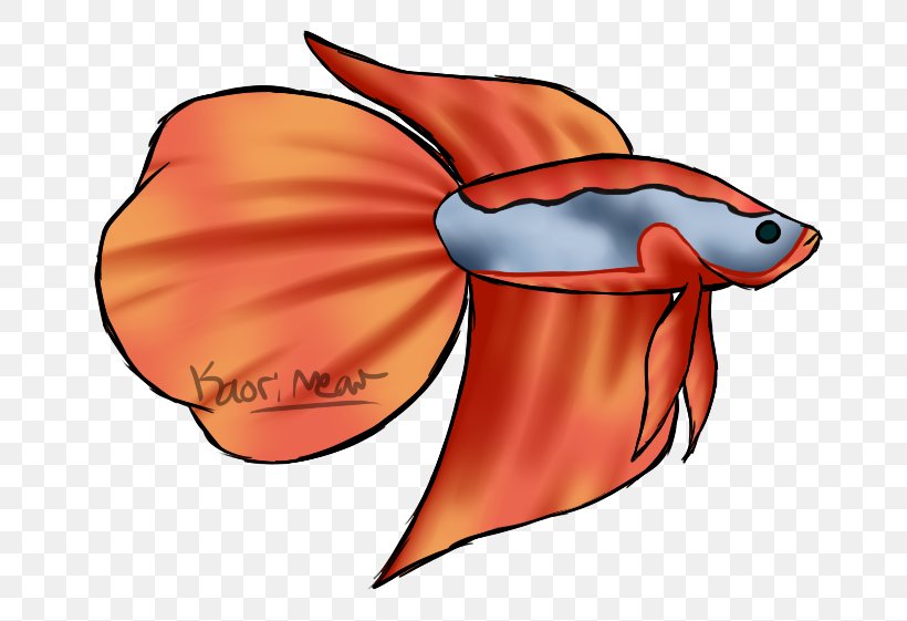 Fish Clip Art, PNG, 729x561px, Fish, Flower, Orange, Red, Seafood Download Free