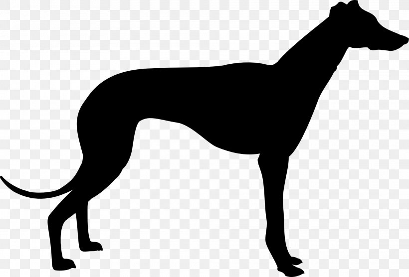 Greyhound Silhouette Clip Art, PNG, 1920x1303px, Greyhound, Animal Sports, Art, Black And White, Carnivoran Download Free
