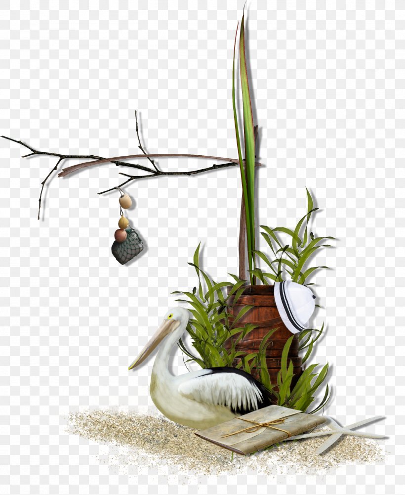 Icon, PNG, 1794x2190px, Duck, Beach, Bucket, Flora, Floral Design Download Free