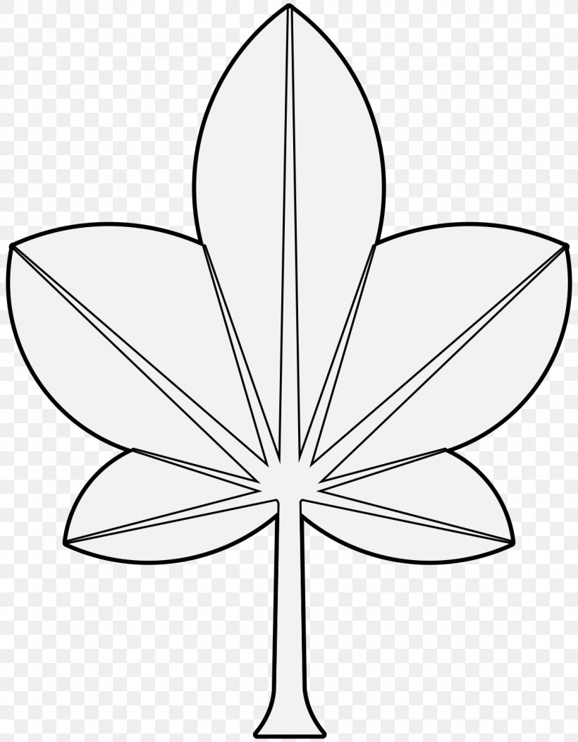 Petal Line Art Leaf Symmetry Clip Art, PNG, 1163x1493px, Petal, Area, Artwork, Black And White, Flower Download Free