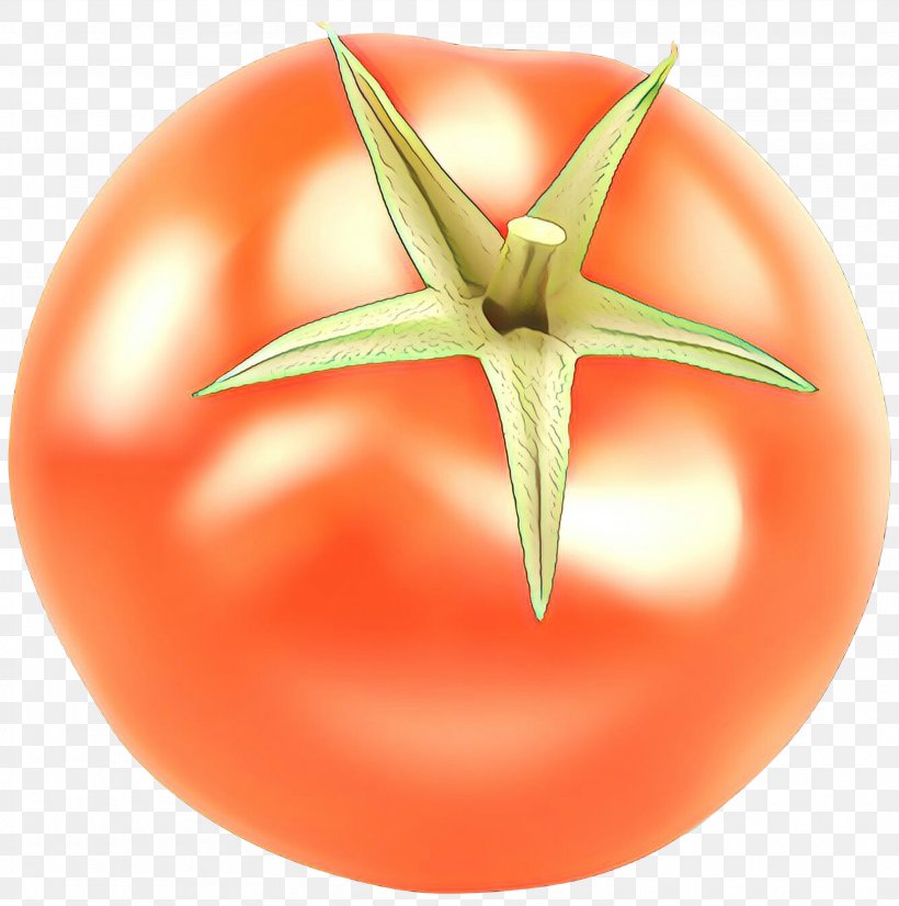 Tomato Cartoon, PNG, 2976x3000px, Cartoon, Bush Tomato, Closeup, Fruit, Nightshade Family Download Free