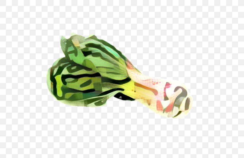 Vegetable Cartoon, PNG, 798x533px, Amphibians, Athletic Shoe, Dog Toy, Footwear, Green Download Free