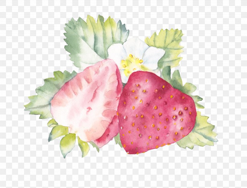 Watercolor Painting Strawberry Fruit, PNG, 3632x2767px, Watercolor Painting, Cherry, Color, Drawing, Flower Download Free