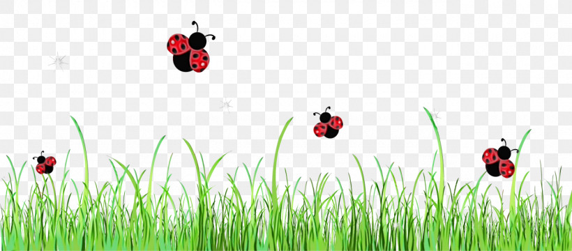 Ladybug, PNG, 1280x562px, Watercolor, Animation, Beetle, Grass, Grass Family Download Free