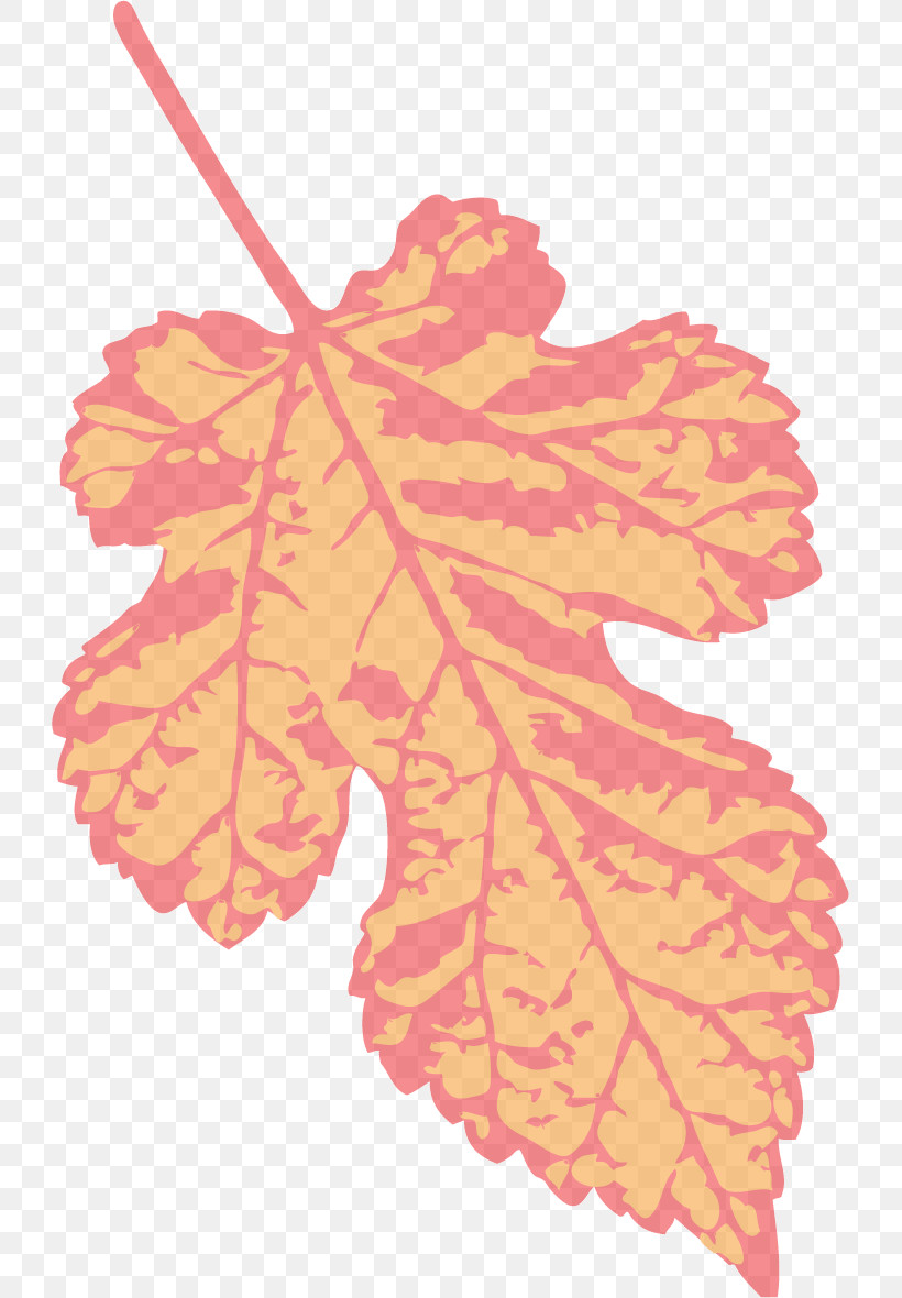 Maple Leaf, PNG, 725x1180px, Maple Leaf, Biology, Flower, Leaf, Maple Download Free