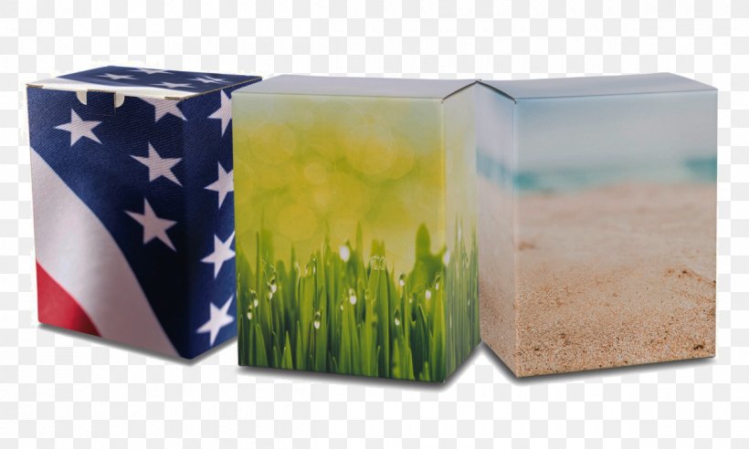 Ypsilanti Shoreline Tri County Cremations Services Plastic Veteran, PNG, 1200x720px, Ypsilanti, Box, Cremation, Environmentally Friendly, Grass Download Free