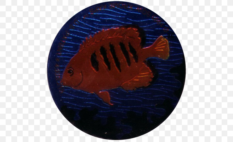Marine Biology Fish, PNG, 500x500px, Marine Biology, Biology, Electric Blue, Fish, Orange Download Free