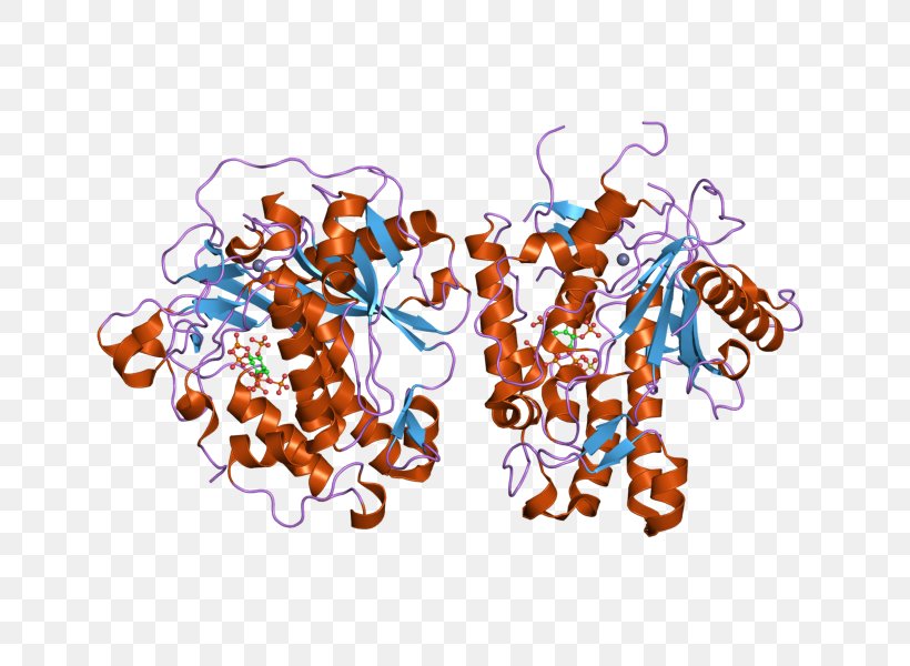 ADARB1 Precursor MRNA RNA Editing Genetic Code, PNG, 800x600px, Rna, Adenosine, Deamination, Doublestranded Rna Viruses, Enzyme Download Free