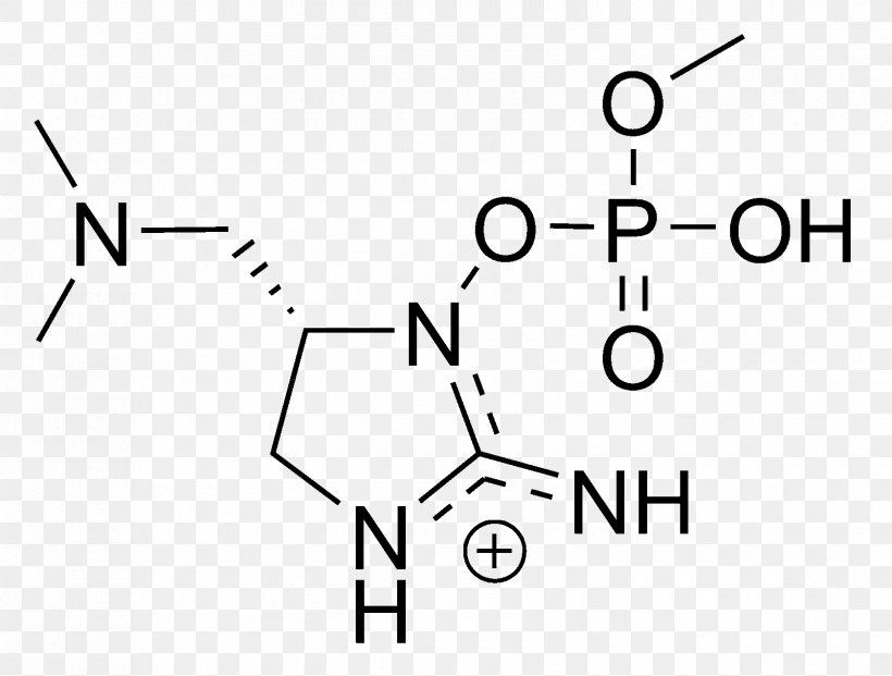Anatoxin-a(S) Chemical Substance Carboxylic Acid, PNG, 1680x1274px, Anatoxina, Acid, Amine, Area, Black Download Free