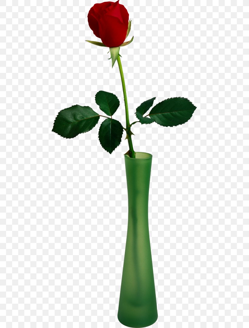 Vase Garden Roses Clip Art Flower, PNG, 479x1080px, Vase, Annual Plant, Flower, Flowering Plant, Flowerpot Download Free