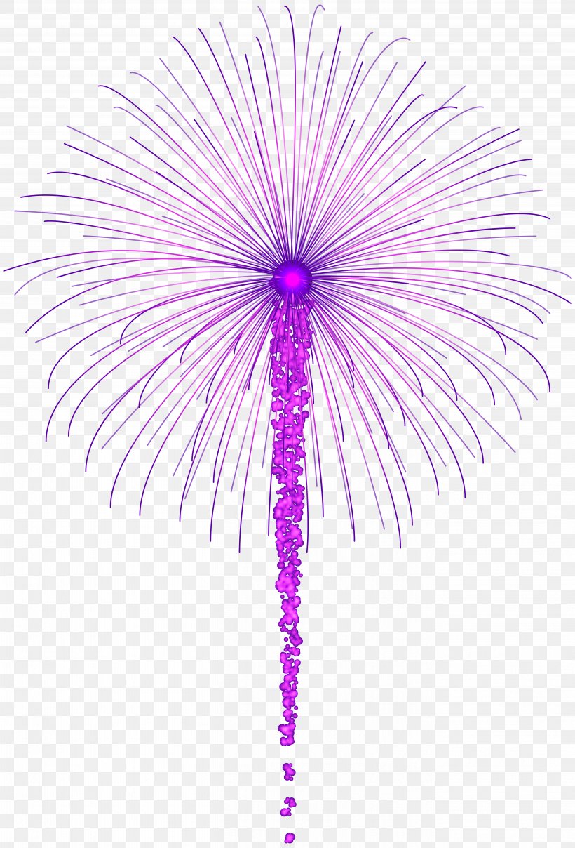 Adobe Fireworks Clip Art, PNG, 5429x8000px, Adobe Fireworks, Arecales, Art, Fireworks, Flower Download Free