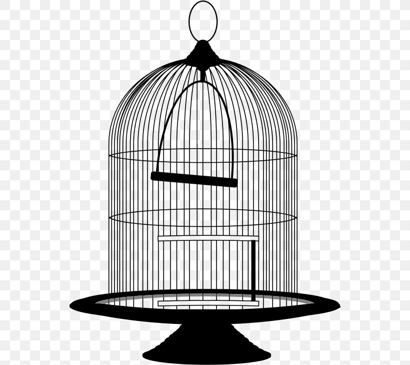 Birdcage Clip Art, PNG, 544x729px, Bird, Birdcage, Black And White, Cage, Monochrome Photography Download Free