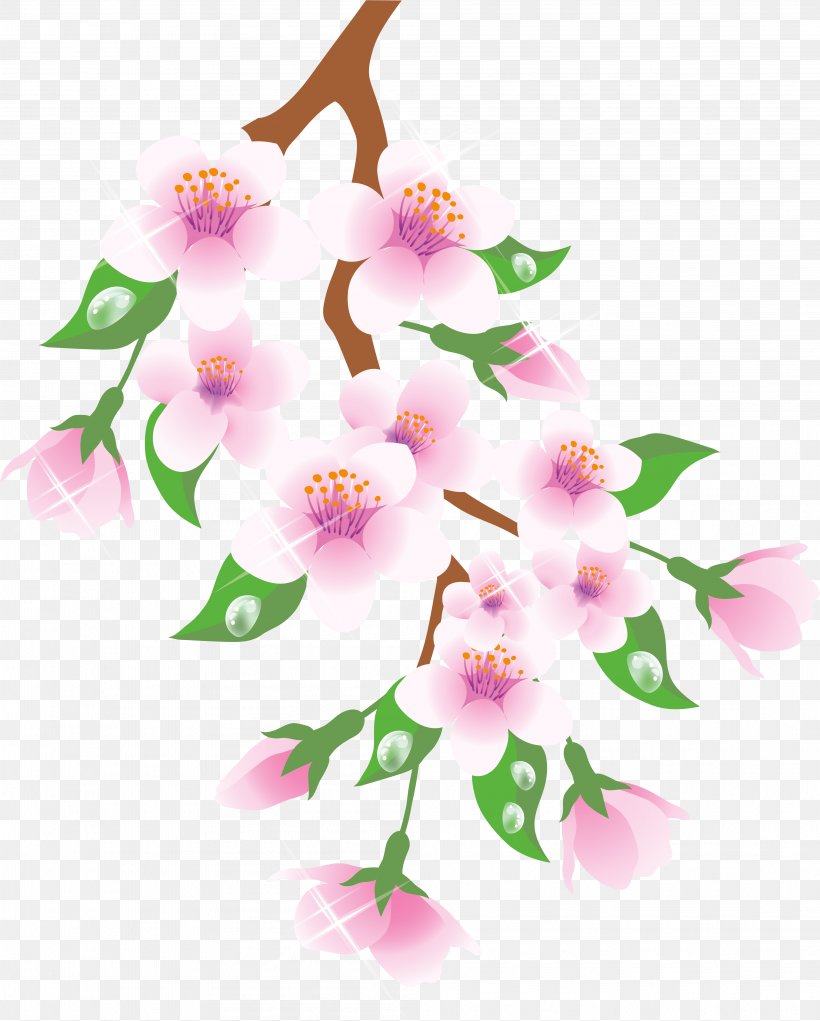 Cherry Blossom Cartoon, PNG, 4013x5000px, Branch, Blossom, Cattleya, Cherry Blossom, Cut Flowers Download Free