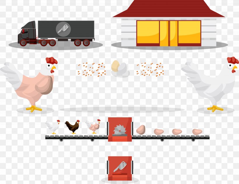 Chicken Egg, PNG, 3650x2815px, Chicken, Brand, Chicken Coop, Diagram, Drawing Download Free